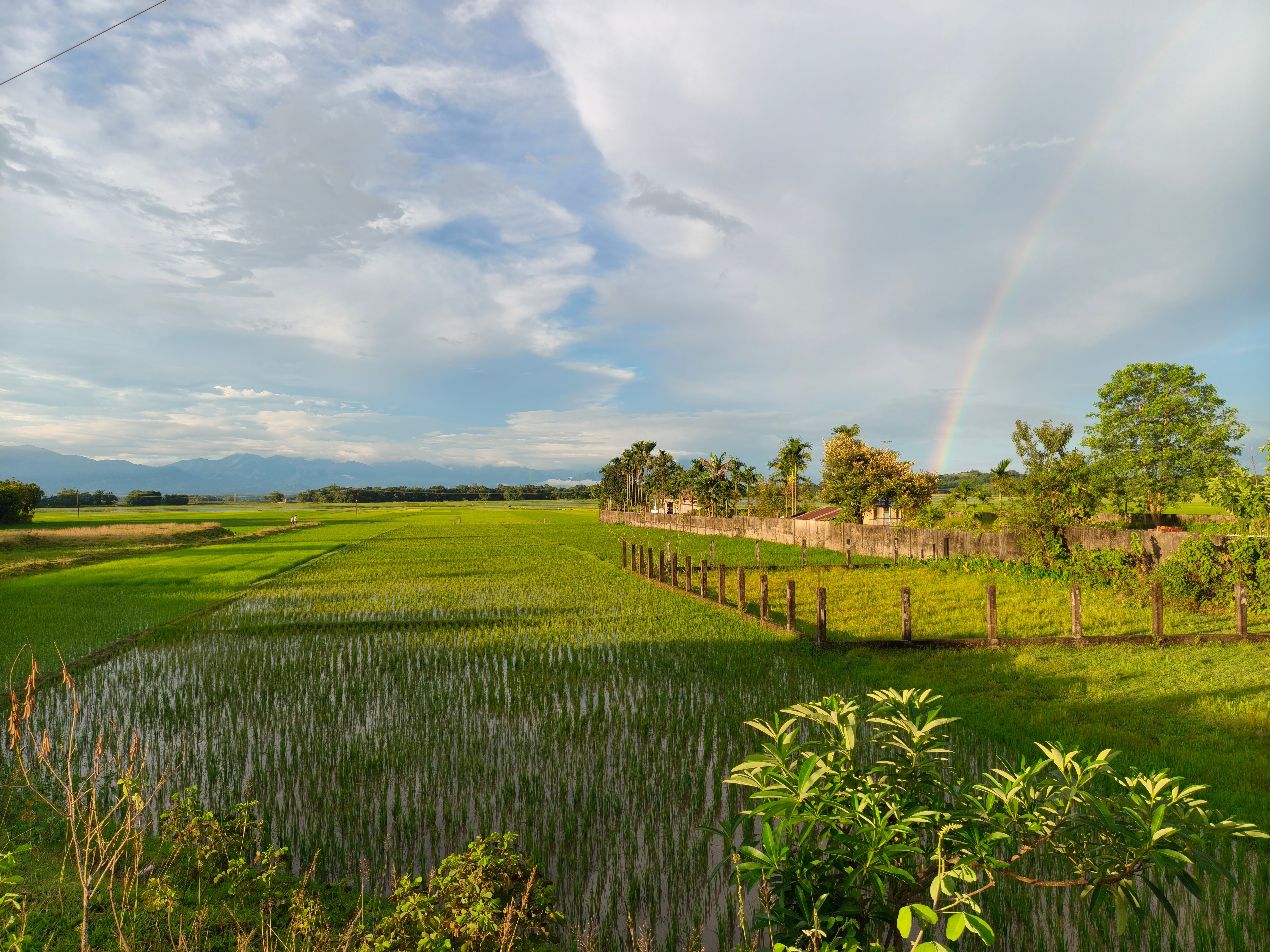 Cultural heritage sites and rice terrace region of Kiangan