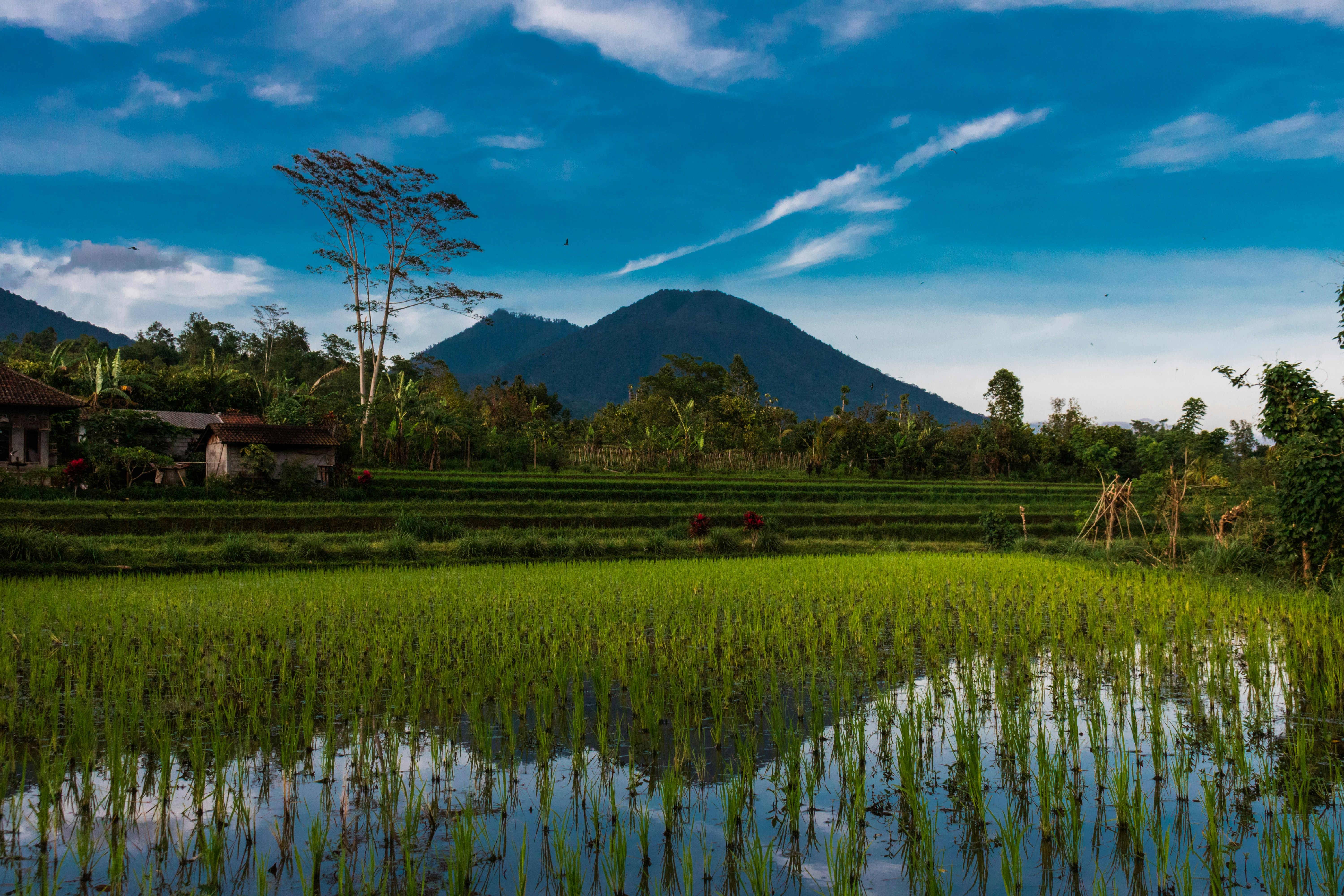 Cultural heritage sites and rice terrace region of Kiangan